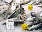 KT150 Datalogger HACCP - Slika 3